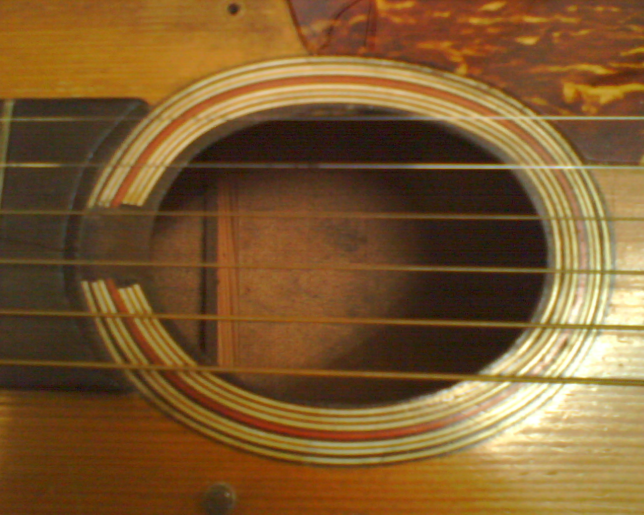 Pic0015.jpg